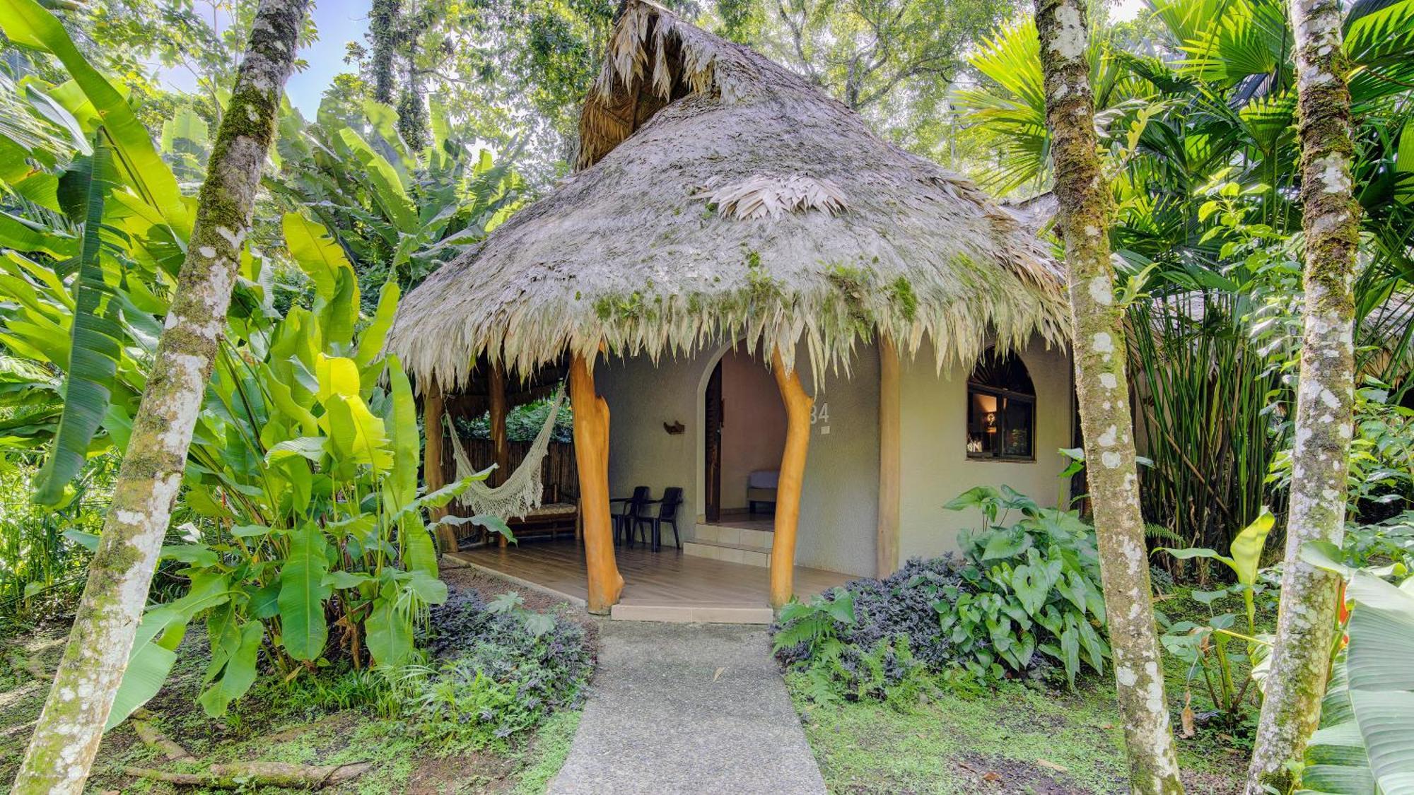 Superior Queen Double Room Jungle View