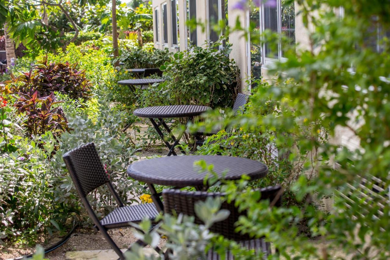 Deluxe Poolside Terrace - 2 Double Beds