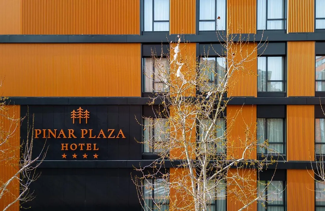Hotel Pinar Plaza-1