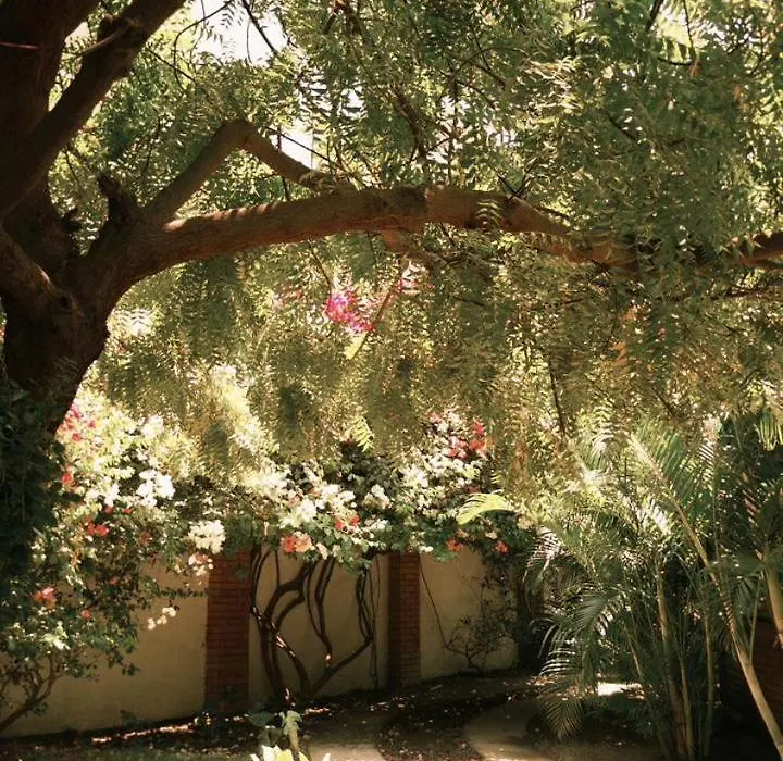 Hotel Jardin Boutique rodadero-1