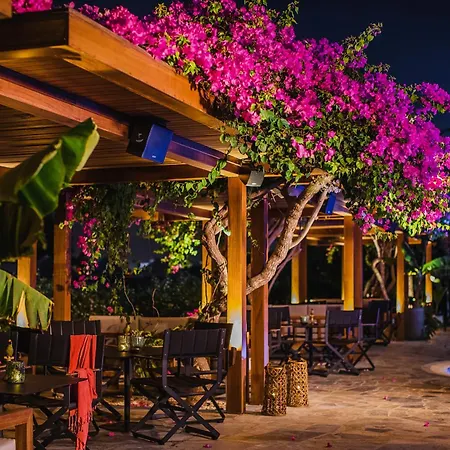 Alion Beach Hotel-2