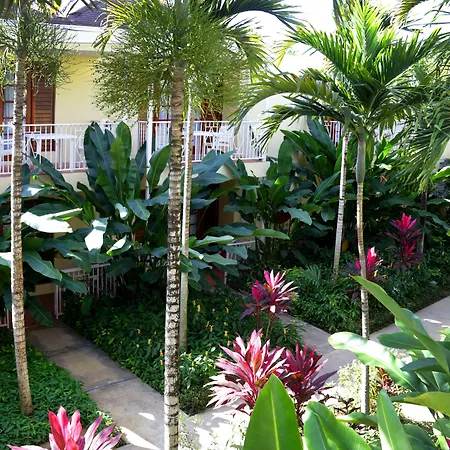 Negril Palms-2