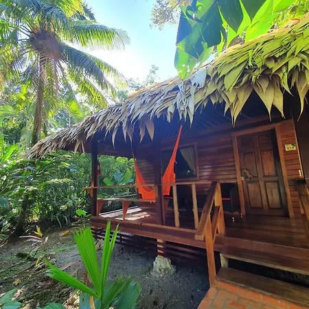 Cariblue Beach And Jungle Resort-3