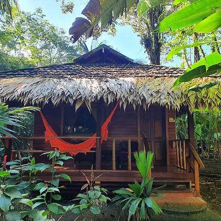 Cariblue Beach And Jungle Resort-2