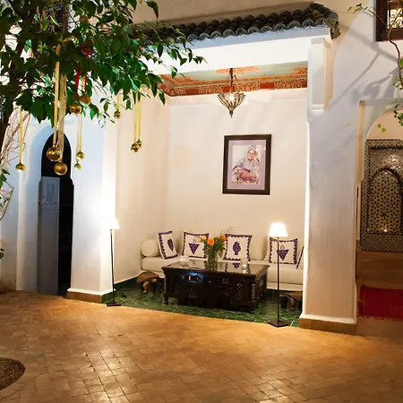 Riad Chergui-3