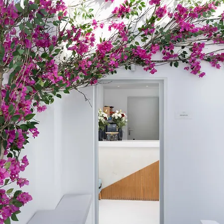 Cycladic Suites & Spa-3