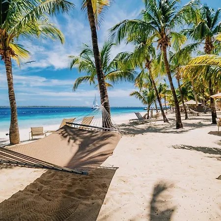 Harbour Village Beach Club-3